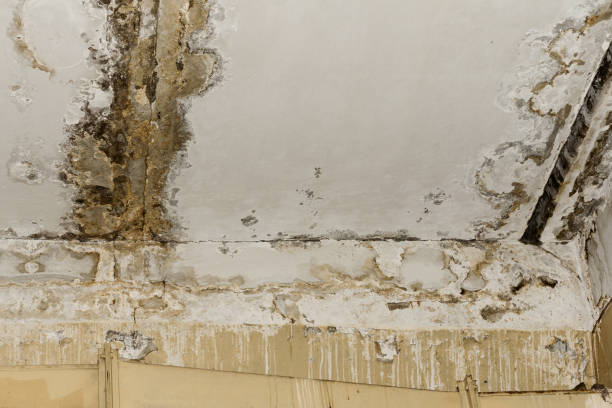 24/7 water damage repair in Friars Point, MS